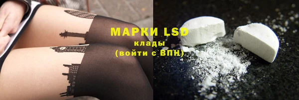apvp Кукмор