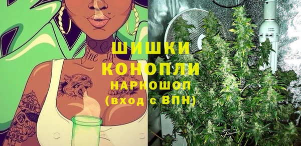 apvp Кукмор