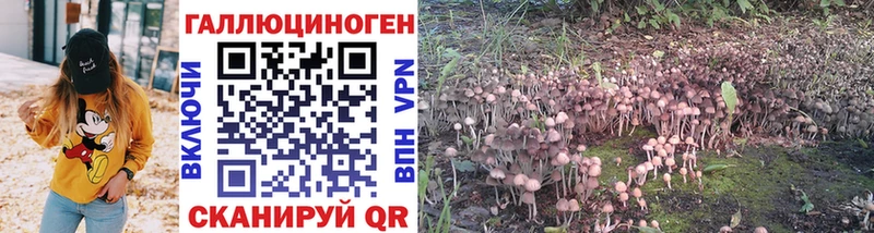 Псилоцибиновые грибы Psilocybine cubensis  Красноуральск 